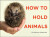 How to Hold Animals - Toshimitsu Matsuhashi