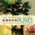 How to Read and Interpret Runes - Andy Baggott