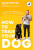 How to Train Your Dog - 