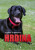 Hrdina - Jennifer Li Shotz