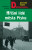 Hříšní lidé města Písku - Ladislav Beran
