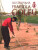 Ilustrovaná pravidla golfu - Peter Davidson