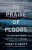 In Praise of Floods - James C. Scott