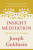 Insight Meditation - Joseph Goldstein