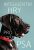 Inteligentní hry pro vašeho psa - Helen  Redding