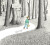 Into the Forest - Anthony Browne