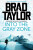 Into the Gray Zone - Brad Taylor