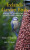 Ireland's Garden Birds - Wilson Jim,Oran O'Sullivan