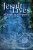 Jesuit Lives - 