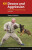 K9 Decoys and Aggression - Stephen A. Mackenzie