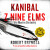 Kanibal z Nine Elms - Robert Bryndza
