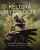 Keltská mytologie - Finn D. Moore