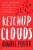 Ketchup Clouds - Annabel Pitcher