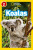 Koalas - Laura Marsh,National National Geographic Kids