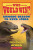 Komodo Dragon vs. King Cobra (Who Would Win?) - 
