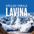 Lavina - Václav Cibula