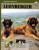 Leonberger - Lusby Madeline