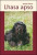Lhasa apso - Kamila Vidová