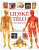 Lidské tělo - ilustrovaný průvodce - Tony Smith