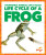 Life Cycle of a Frog - Karen Latchana Kenney
