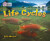 Life Cycles - Sally Morganová