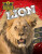 Lion - John Lesley