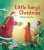 Little Fairy's Christmas - Daniela Drescher