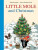 Little Mole and Christmas - Hana Doskočilová