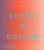 Living in Colour - Phaidon Editors