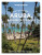 Lonely Planet Experience Aruba, Bonaire & Curacao - Lonely Planet,Bailey Freeman,Robert Isenberg