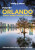 Lonely Planet Pocket Orlando & Walt Disney World ® Resort - Lonely Planet,Amy Bizzarri,Sarah Etinas