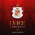 Lvice v erbu krále - Michaela Vaščíková