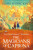 MAGICIANS OF_CHRESTOMANCI2 PB - Diana Wynne Jonesová
