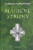 Magické střípky - Andrzej Sapkowski