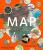 Map - Phaidon Editors