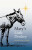 Mary's Little Donkey - Gunhild Sehlin