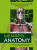 Memorix Anatomy - 3. vydání - Radovan Hudák,David Kachlík