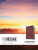 The Message Large Print (Leather-Look, Burgundy) - Eugene H. Peterson