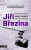 Mimo obraz - Jiří Březina