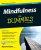 Mindfulness For Dummies, 2nd Edition - Shamash Alidina
