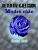 Modrá růže - Janů Daniel