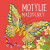 Motýlie maľovanky - Julie Bezděková