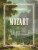 Mozart: Meisterwerke am Klavier / Masterpieces for Piano - 