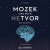 Mozek jako noční netvor - Guy Leschziner