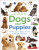 My Book of Dogs and Puppies - DK