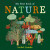 My First Book of Nature - Isobel Lundie