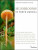 National Audubon Society Mushrooms of North America - National Audubon Society National Audubon Society