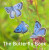 Nature Book Series: The Butterfly Book - Andrew Fusek Peters,Jane Russ