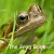 Nature Book Series: The Frog Book - Jo Byrne
