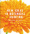 New Ideas in Botanical Painting - Carolyn Jenkins,Helen Birch